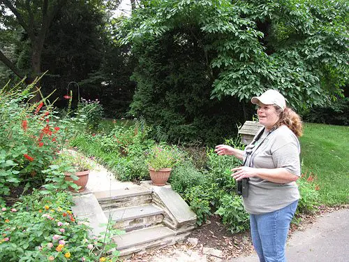A Visit to Cindy Ahern’s Conservation Garden