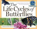 Life Cycles of Butterflies in Your Habitat Garden