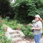 A Visit to Cindy Ahern’s Conservation Garden