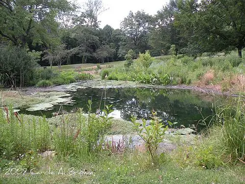 Ecosystem Services and Your Ecosystem Garden: how your property contributes to healthy ecosystems