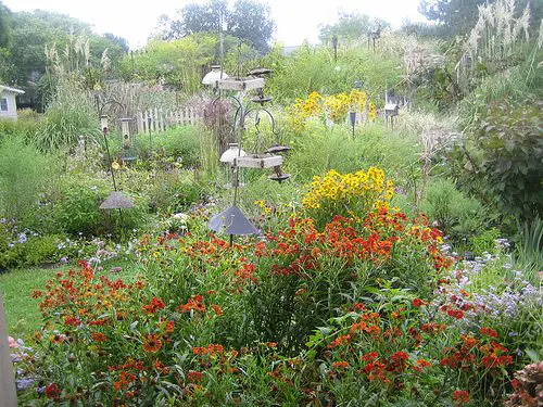 Wildlife Gardens are Nothing but an Ugly Overgrown Mess, NOT!