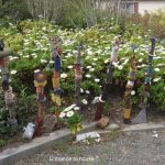 Ecosystem Garden Showcase: Ro Wilson, Cape May, NJ