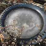 How to Provide Water for Birds When the Birdbath Freezes
