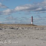 Looking Past the Garden Gate, the Ocean Needs Our Help