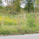 Roadsides for Wildlife