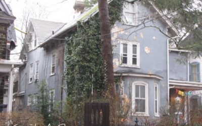 English Ivy: Most Hated Plants
