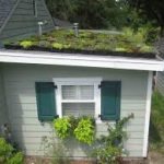 Ecosystem Gardening in Practice: Installing a Green Roof