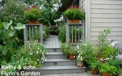 Container Gardening for Wildlife Habitat
