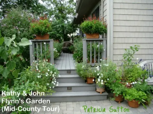 Container Gardening for Wildlife Habitat