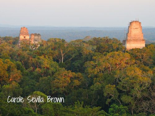 Birds and Wildlife Gardens of Guatemala