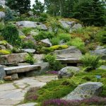 A Visit to Coastal Maine Botanical Garden