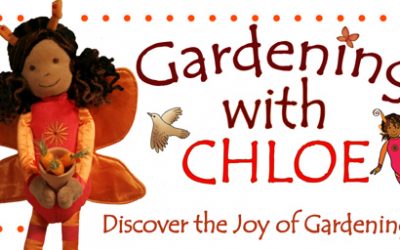 Attracting Butterflies to Your Wildlife Garden