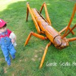 Big Bugs at Morris Arboretum