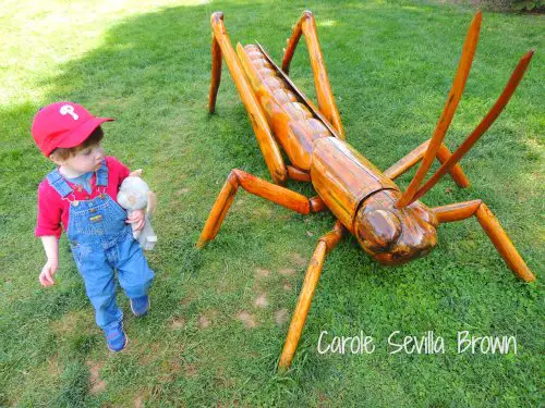 Big Bugs at Morris Arboretum