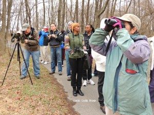 How to Learn More About Nature