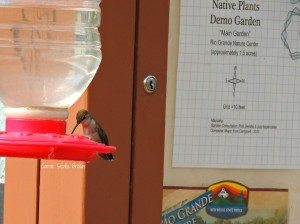 A Visit to Rio Grande Nature Center