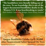Murder of the Bumble Bees