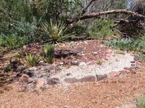 Rio Grande Nature Center Native Plant Garden