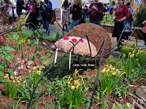 Beneficial Insects at Philadelphia Flower Show