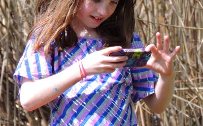 Through The Eyes of a Budding Naturalist