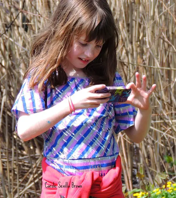 Through The Eyes of a Budding Naturalist