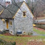 Exploring Wissahickon Park