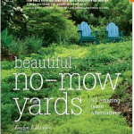 The Beautiful-No Mow Yard