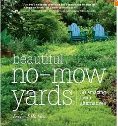 The Beautiful-No Mow Yard
