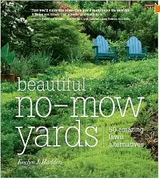 The Beautiful-No Mow Yard